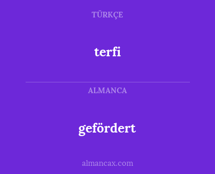 gefördert - terfi