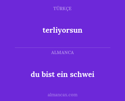 du bist ein schwei - terliyorsun
