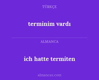 ich hatte termiten - terminim vardı