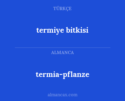 termiye bitkisi - termia-pflanze