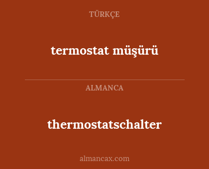 thermostatschalter - termostat müşürü