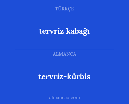 tervriz-kürbis - tervriz kabağı