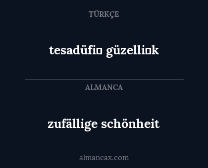zufällige schönheit - tesadüfi̇ güzelli̇k