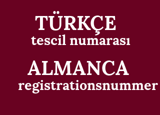 tescil+numaras%C4%B1-registrationsnummer.png