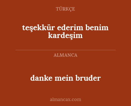 teşekkür ederim benim kardeşim - danke mein bruder