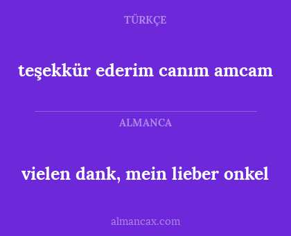 teşekkür ederim canım amcam - vielen dank, mein lieber onkel