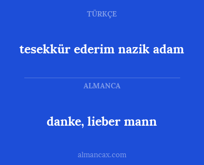 danke, lieber mann - tesekkür ederim nazik adam