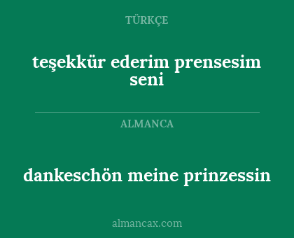 teşekkür ederim prensesim seni - dankeschön meine prinzessin