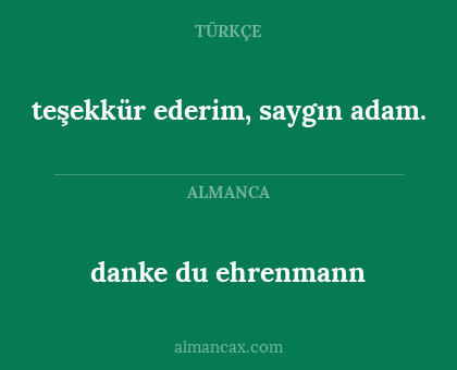danke du ehrenmann - teşekkür ederim, saygın adam.