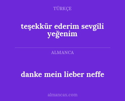 teşekkür ederim sevgili yeğenim - danke mein lieber neffe