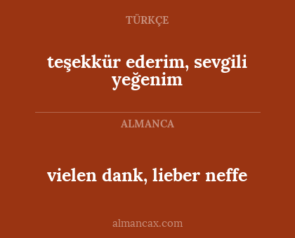 teşekkür ederim, sevgili yeğenim - vielen dank, lieber neffe