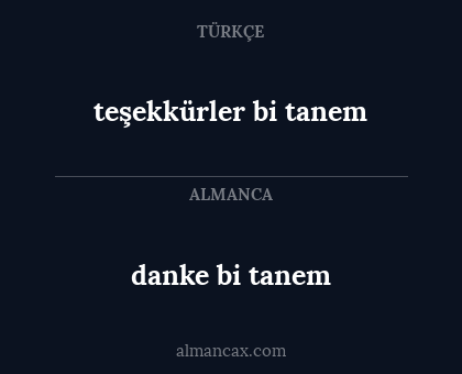danke bi tanem - teşekkürler bi tanem