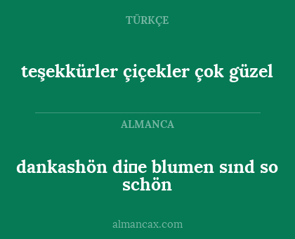 dankashön di̇e blumen sınd so schön - teşekkürler çiçekler çok güzel