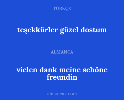 teşekkürler güzel dostum - vielen dank meine schöne freundin
