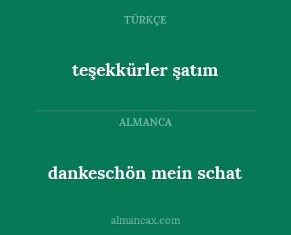 dankeschön mein schat - teşekkürler şatım