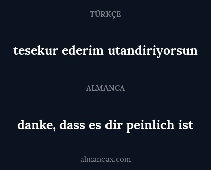 danke, dass es dir peinlich ist - tesekur ederim utandiriyorsun