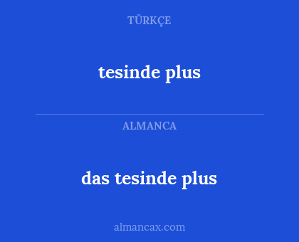 tesinde plus - das tesinde plus