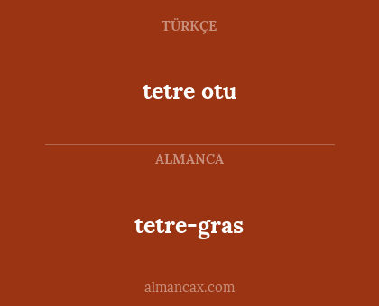 tetre otu - tetre-gras