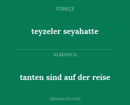 teyzeler seyahatte - tanten sind auf der reise