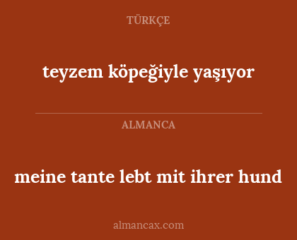 teyzem köpeğiyle yaşıyor - meine tante lebt mit ihrer hund