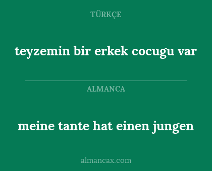 teyzemin bir erkek cocugu var - meine tante hat einen jungen