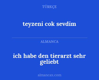 ich habe den tierarzt sehr geliebt - teyzeni cok sevdim