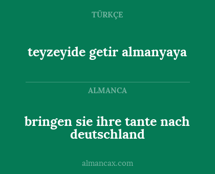 teyzeyide getir almanyaya - bringen sie ihre tante nach deutschland