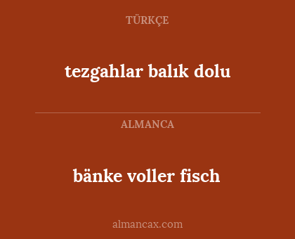 bänke voller fisch - tezgahlar balık dolu