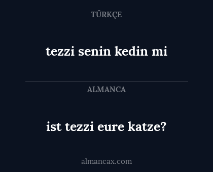 ist tezzi eure katze? - tezzi senin kedin mi