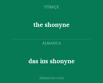 das i̇s shonyne - the shonyne