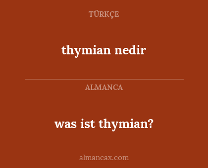 thymian nedir - was ist thymian?