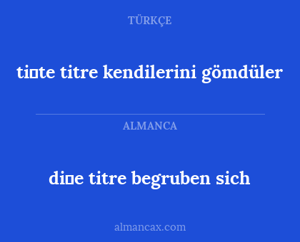 di̇e titre begruben sich - ti̇te titre kendilerini gömdüler