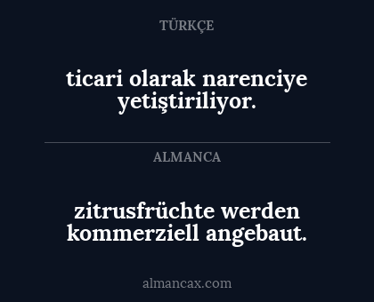 ticari olarak narenciye yetiştiriliyor. - zitrusfrüchte werden kommerziell angebaut.