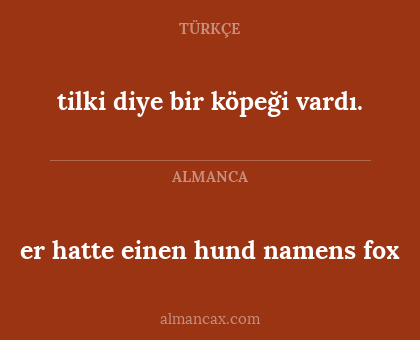 tilki diye bir köpeği vardı. - er hatte einen hund namens fox