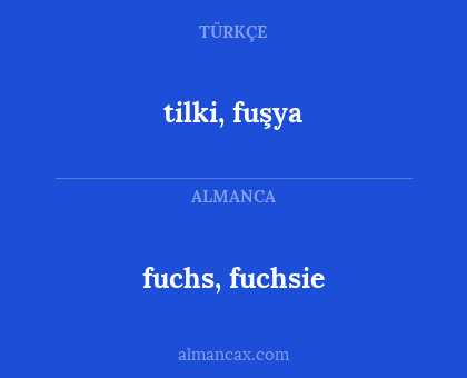 tilki, fuşya - fuchs, fuchsie