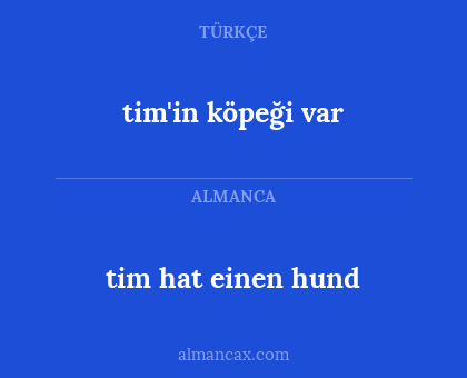 tim hat einen hund - tim'in köpeği var