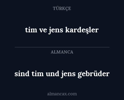 tim ve jens kardeşler - sind tim und jens gebrüder