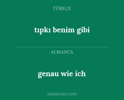 tıpkı benim gibi - genau wie ich