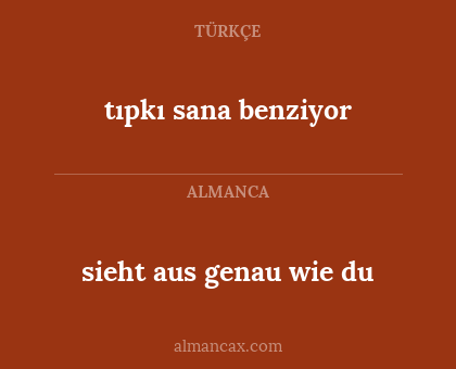 sieht aus genau wie du - tıpkı sana benziyor