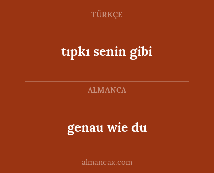genau wie du - tıpkı senin gibi