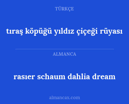 rasıer schaum dahlia dream - tıraş köpüğü yıldız çiçeği rüyası