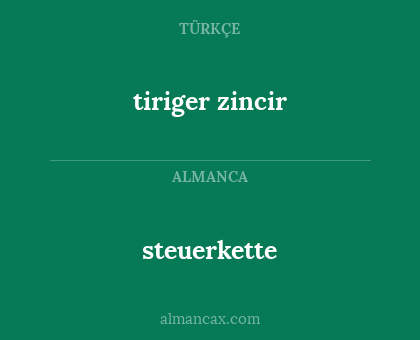 tiriger zincir - steuerkette