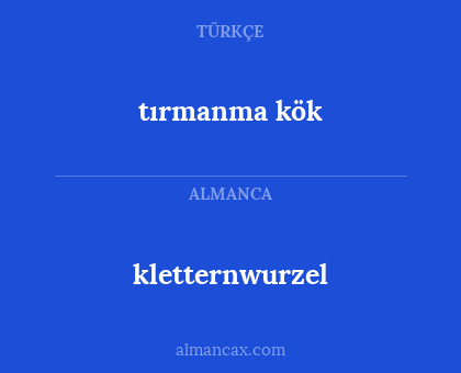 kletternwurzel - tırmanma kök