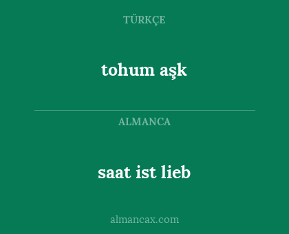 saat ist lieb - tohum aşk