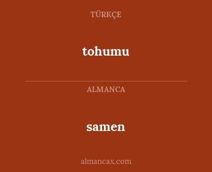 samen - tohumu