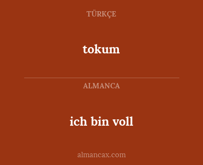 ich bin voll - tokum