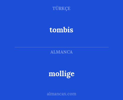mollige - tombis