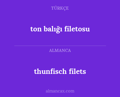 ton balığı filetosu - thunfisch filets