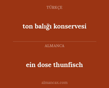 ein dose thunfisch - ton balığı konservesi