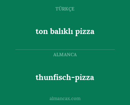 thunfisch-pizza - ton balıklı pizza